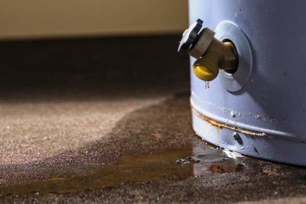 Best Local water damage restoration  in Norton, KS