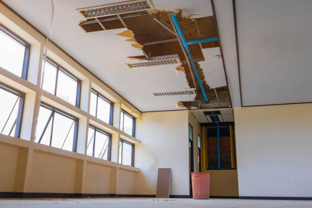 Best Flood damage cleanup  in Norton, KS