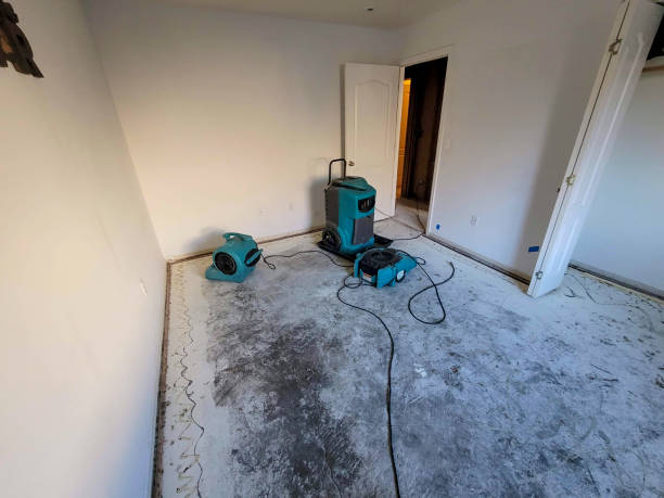 Best Local water damage restoration  in Norton, KS