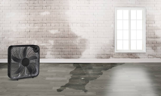 Best Residential water damage restoration  in Norton, KS