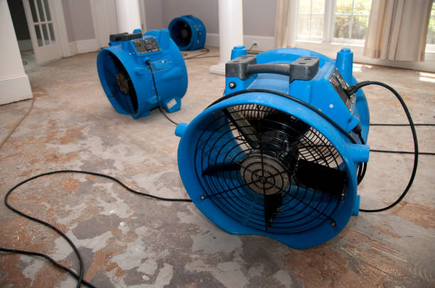 Best Water damage restoration near me  in Norton, KS