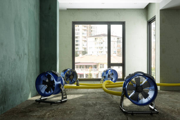 Best Sewage cleanup and water damage restoration  in Norton, KS